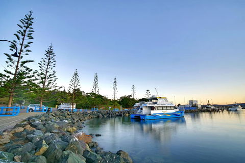 The Beach Retreat Eden - Surfers Paradise Gold Coast 2