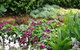 Topiary Haven - thumb 27