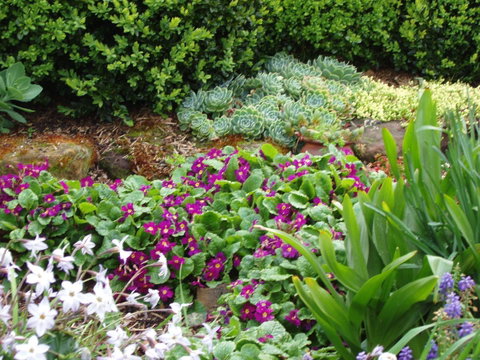 Topiary Haven - Surfers Paradise Gold Coast 27