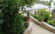 Topiary Haven - thumb 26