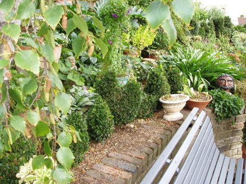 Topiary Haven - Surfers Paradise Gold Coast 25