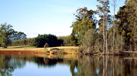 Buttons Cottage For Canyon & Rain Forest Walks With In House Dining - Surfers Paradise Gold Coast 29