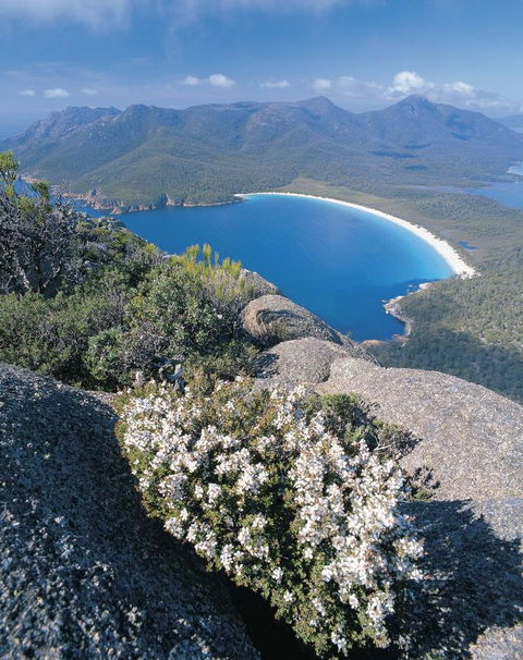 Freycinet Lodge - Surfers Paradise Gold Coast 41