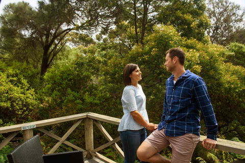 Freycinet Lodge - Surfers Paradise Gold Coast 42