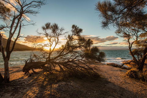 Freycinet Lodge - Surfers Paradise Gold Coast 44