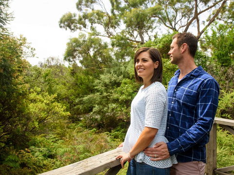 Freycinet Lodge - Surfers Paradise Gold Coast 26