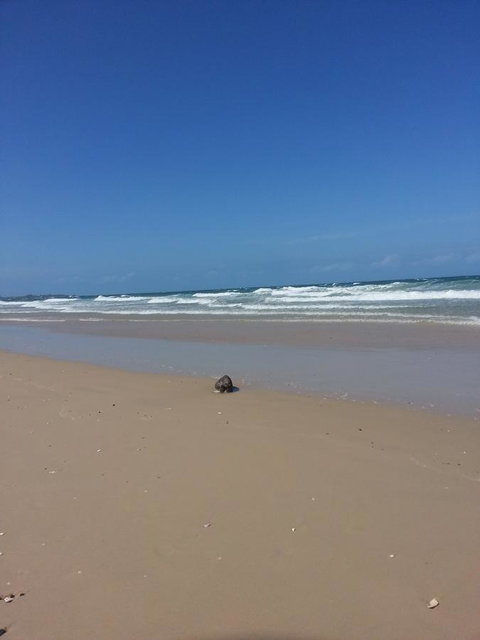 Tidelines Of Bicheno - Surfers Paradise Gold Coast 12