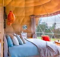 Domescapes in the Vines - Surfers Paradise Gold Coast