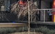 Maple Cottage - thumb 19