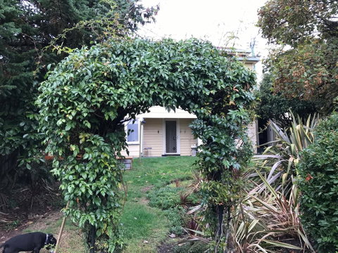 Maple Cottage - Surfers Paradise Gold Coast 26