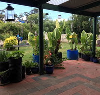 Blue Wren Bungalow - Surfers Paradise Gold Coast