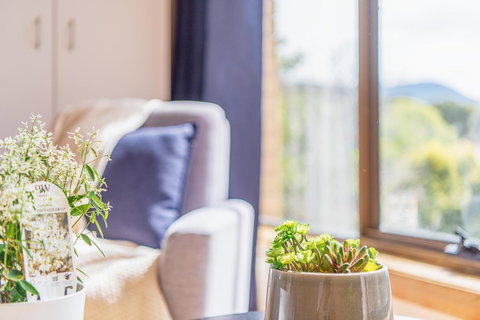 Vintage Cuddle Guest House - Surfers Paradise Gold Coast 2
