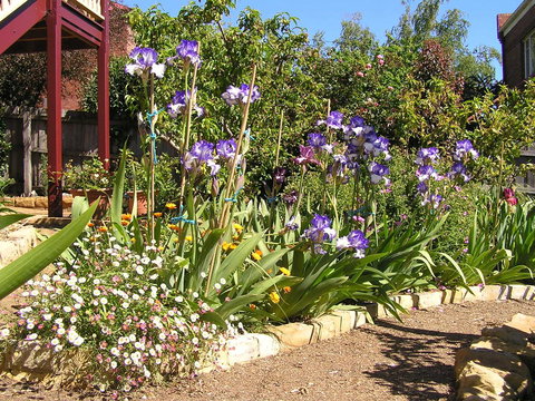 Bendalls Bed And Breakfast - Surfers Paradise Gold Coast 10