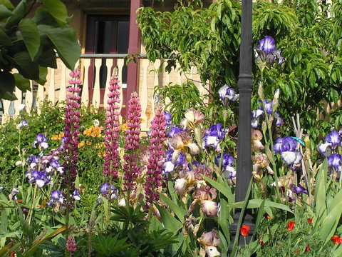 Bendalls Bed And Breakfast - Surfers Paradise Gold Coast 19