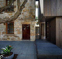 Blue Magnolia - Surfers Paradise Gold Coast