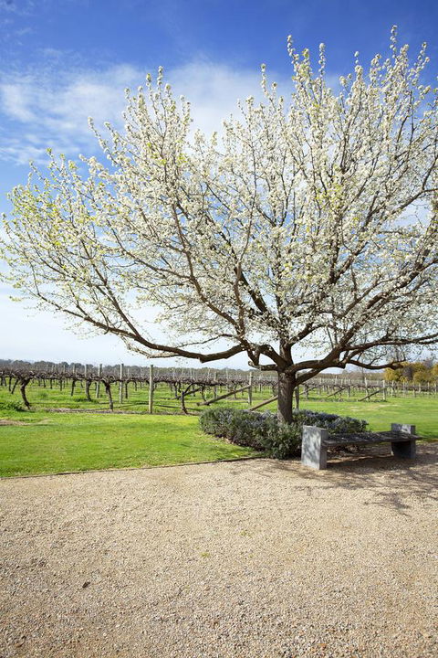 Lancemore Milawa - Surfers Paradise Gold Coast 12