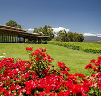 Balgownie Estate Vineyard Resort  Spa - Surfers Paradise Gold Coast