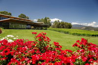 Book Yarra Glen Accommodation Vacations Surfers Paradise Gold Coast Surfers Paradise Gold Coast