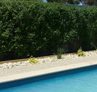 Robinvale Bridge Motel - Surfers Paradise Gold Coast