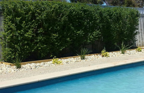 Robinvale Bridge Motel - Surfers Paradise Gold Coast 0