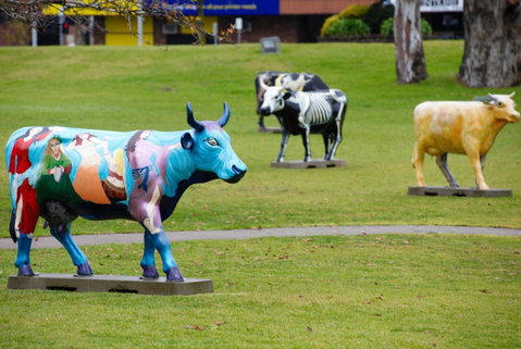 Quest Shepparton - Surfers Paradise Gold Coast 12