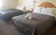 St Georges Motor Inn - thumb 15