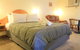 St Georges Motor Inn - thumb 30