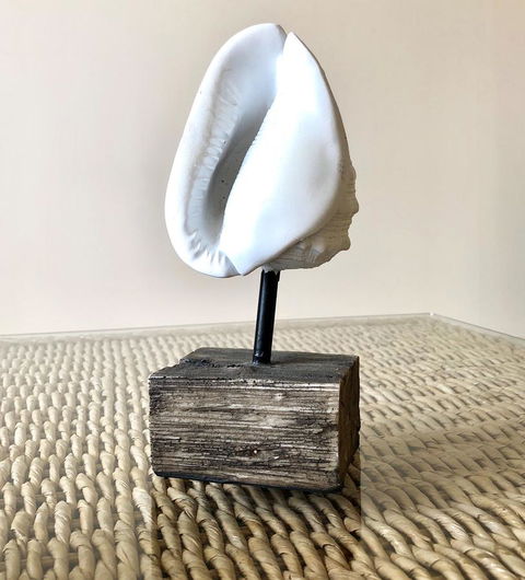 Sea Shells On Banyan Apartment - Surfers Paradise Gold Coast 9