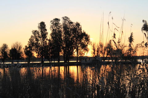 Motel Yarrawonga - Surfers Paradise Gold Coast 20