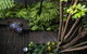 Albert Heights Serviced Apartments - thumb 15
