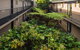 Albert Heights Serviced Apartments - thumb 14