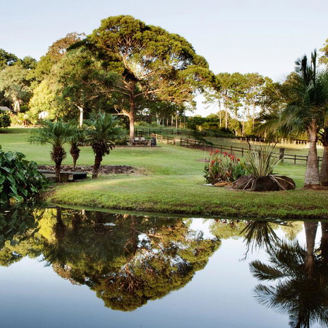 The BlueGreen SANCTUARY - Surfers Paradise Gold Coast 3