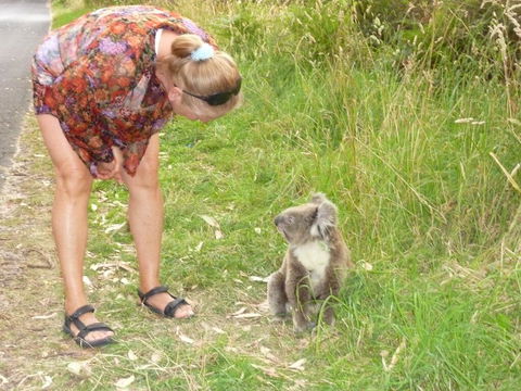 The Boomerangs At Johanna - Surfers Paradise Gold Coast 3