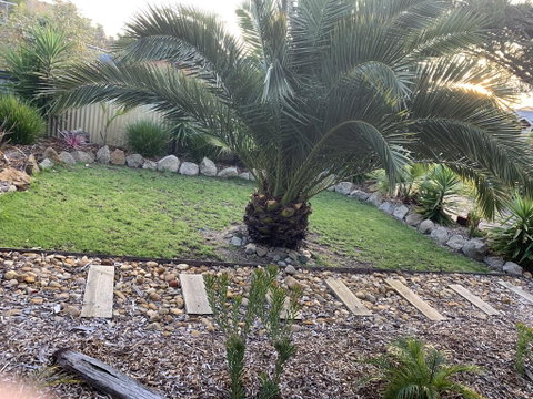 Torquoise Waters - Bed & Breakfast - Surfers Paradise Gold Coast 1