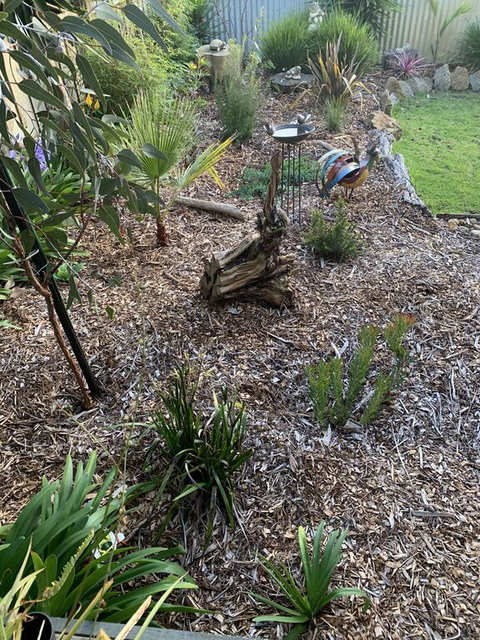 Torquoise Waters - Bed & Breakfast - Surfers Paradise Gold Coast 2