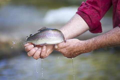 Tuki Retreat - Surfers Paradise Gold Coast 2