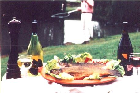 Tuki Retreat - Surfers Paradise Gold Coast 3