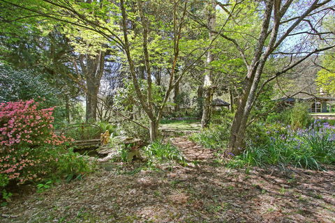 Until - Country Garden Setting - Surfers Paradise Gold Coast 1