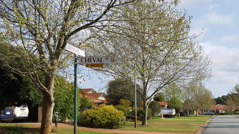 Vimal's Homestay - Surfers Paradise Gold Coast 2