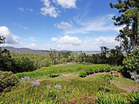 Wallaby Ridge Retreat - Surfers Paradise Gold Coast 3
