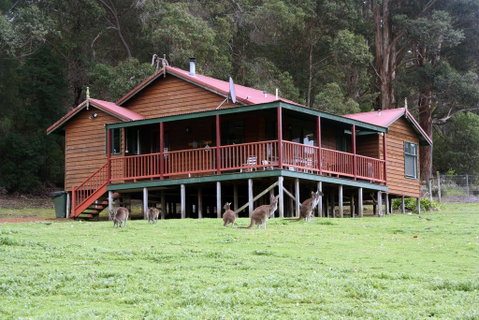 Walpole Wilderness Resort - Surfers Paradise Gold Coast 1