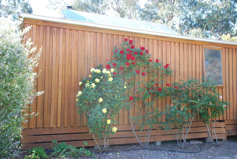 Bluegum Ridge Cottages - Surfers Paradise Gold Coast 23