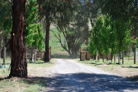 Bluegum Ridge Cottages - Surfers Paradise Gold Coast 3