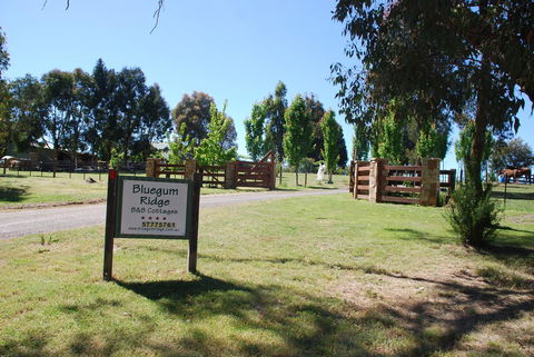 Bluegum Ridge Cottages - Surfers Paradise Gold Coast 1