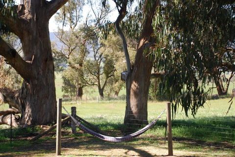 Bluegum Ridge Cottages - Surfers Paradise Gold Coast 28