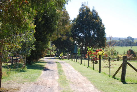 Bluegum Ridge Cottages - Surfers Paradise Gold Coast 4