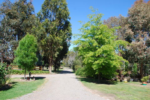 Bluegum Ridge Cottages - Surfers Paradise Gold Coast 5