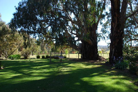 Bluegum Ridge Cottages - Surfers Paradise Gold Coast 29