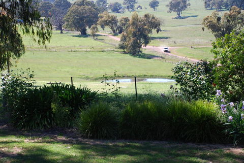 Bluegum Ridge Cottages - Surfers Paradise Gold Coast 30
