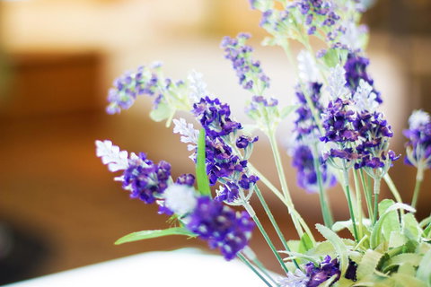 Marwood Villas - Surfers Paradise Gold Coast 7